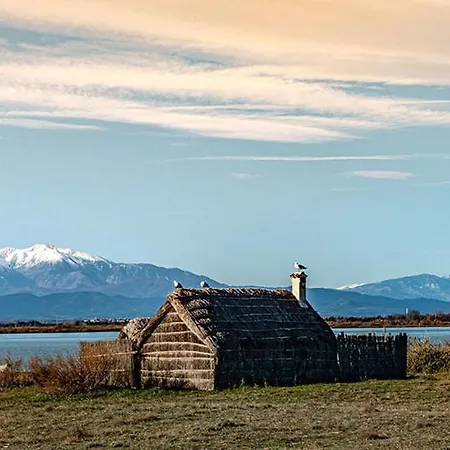 Chic&cosy, Cœur De Appartement Perpignan
