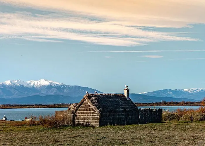 Chic & Cosy, Coeur De Apartment Perpignan